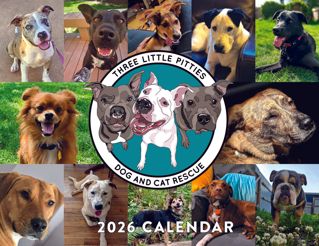 2026 Calendar