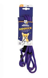 Gentle Leader Leash