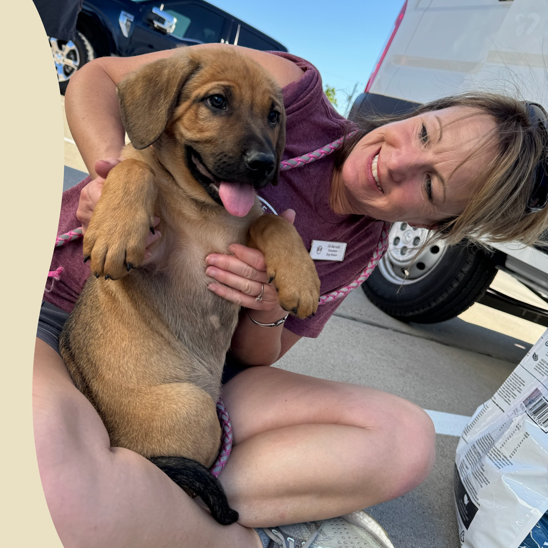 Little Pitties Dog Breed Rescues Near Me Tiny Paws Shelter Home