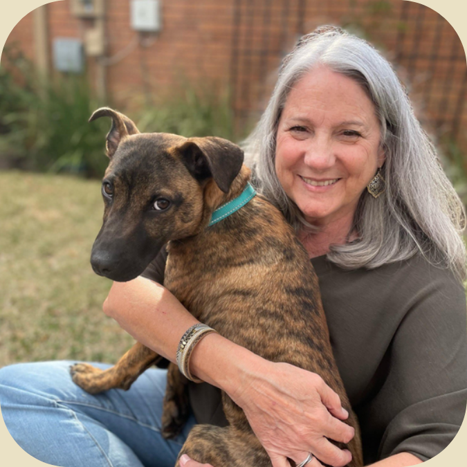 About three little pitties rescue