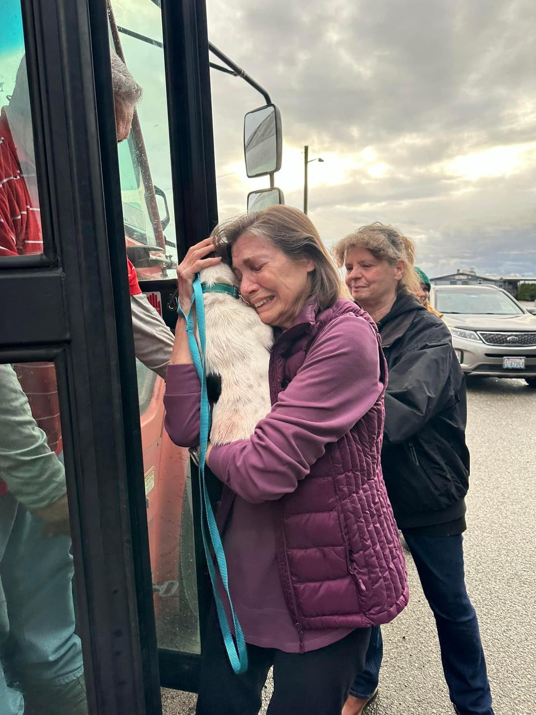 adopt a dog, adopt a puppy, transport to you, rescue a dog, rescue a cat, save a dog