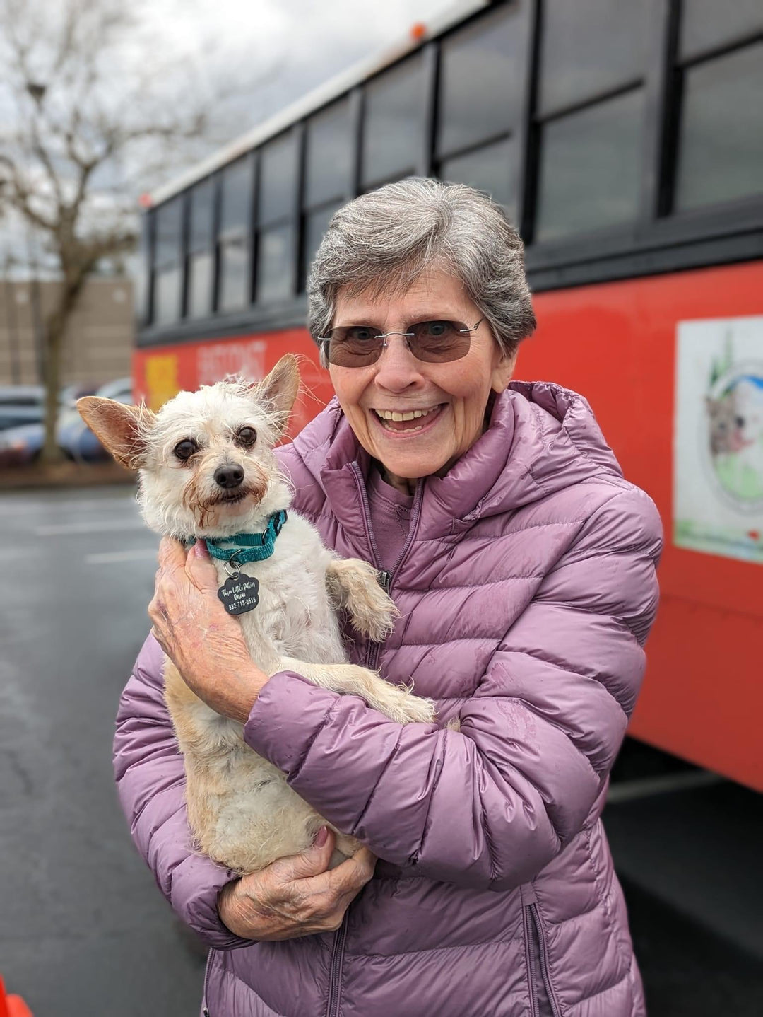 Adoption, dog adoption, rescue dog adoption, rescue a dog, adopt a dog, adopt a puppy.