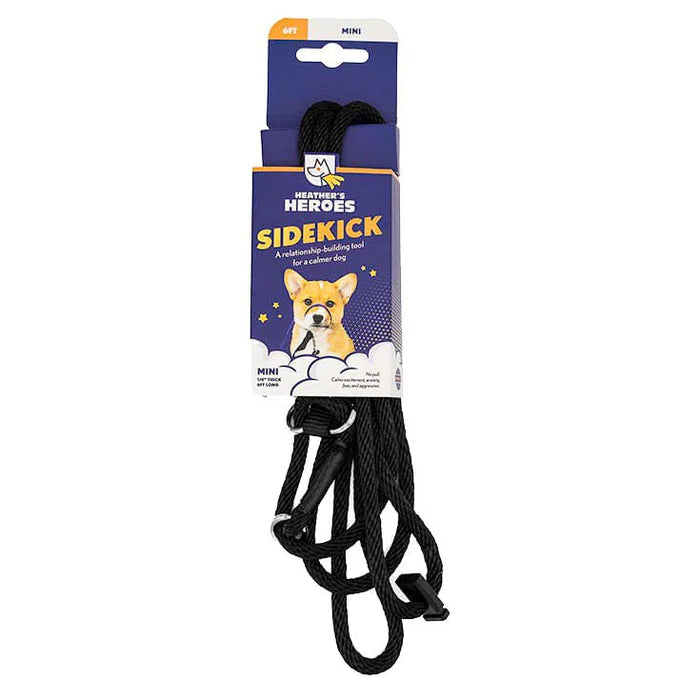 Gentle Leader Leash