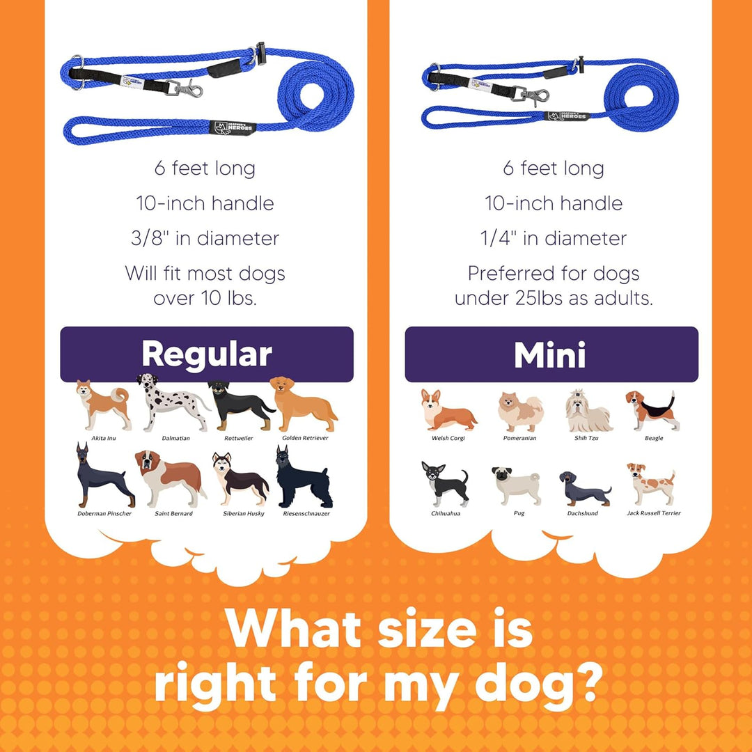 Gentle Leader Leash