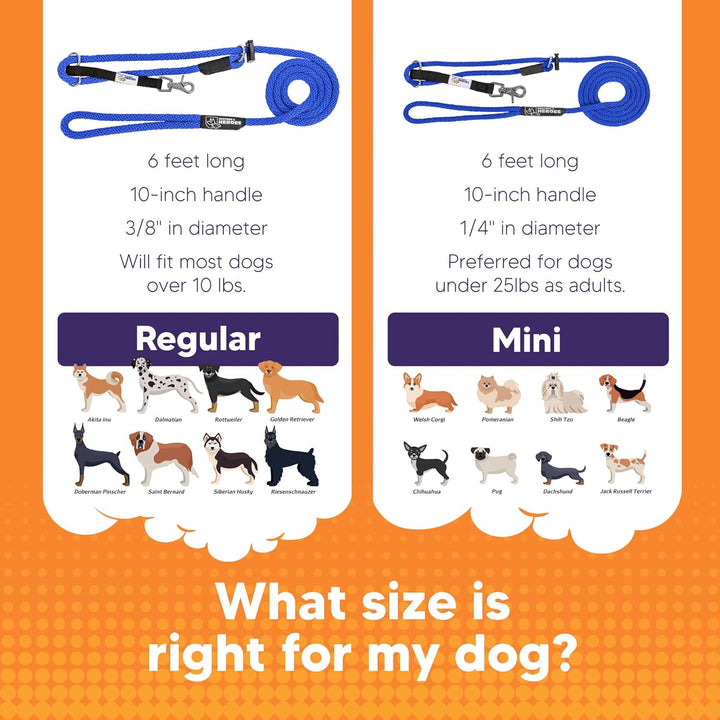 Gentle Leader Leash