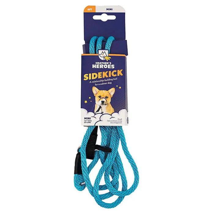 Gentle Leader Leash