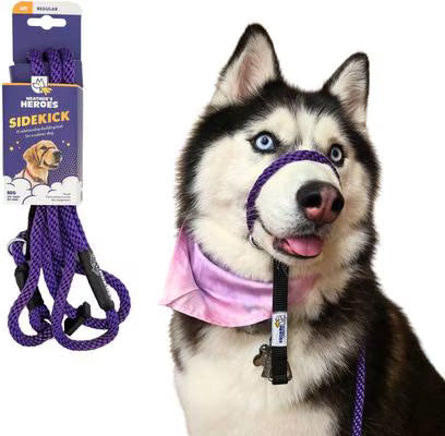 Gentle Leader Leash