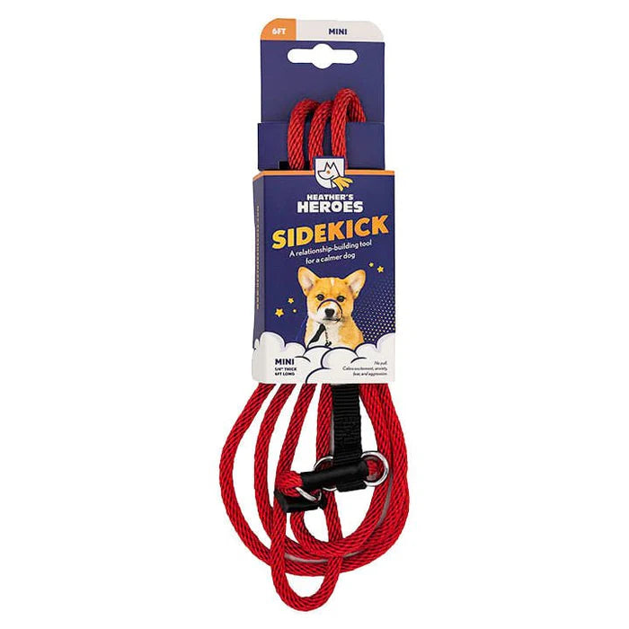 Gentle Leader Leash