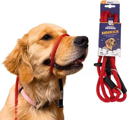 Gentle Leader Leash