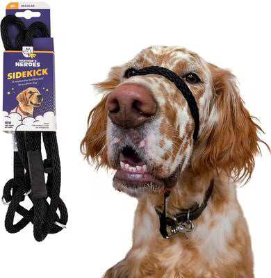 Gentle Leader Leash