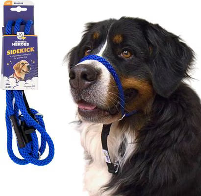 Gentle Leader Leash