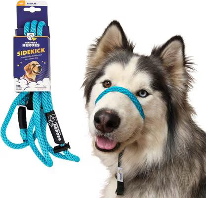 Gentle Leader Leash