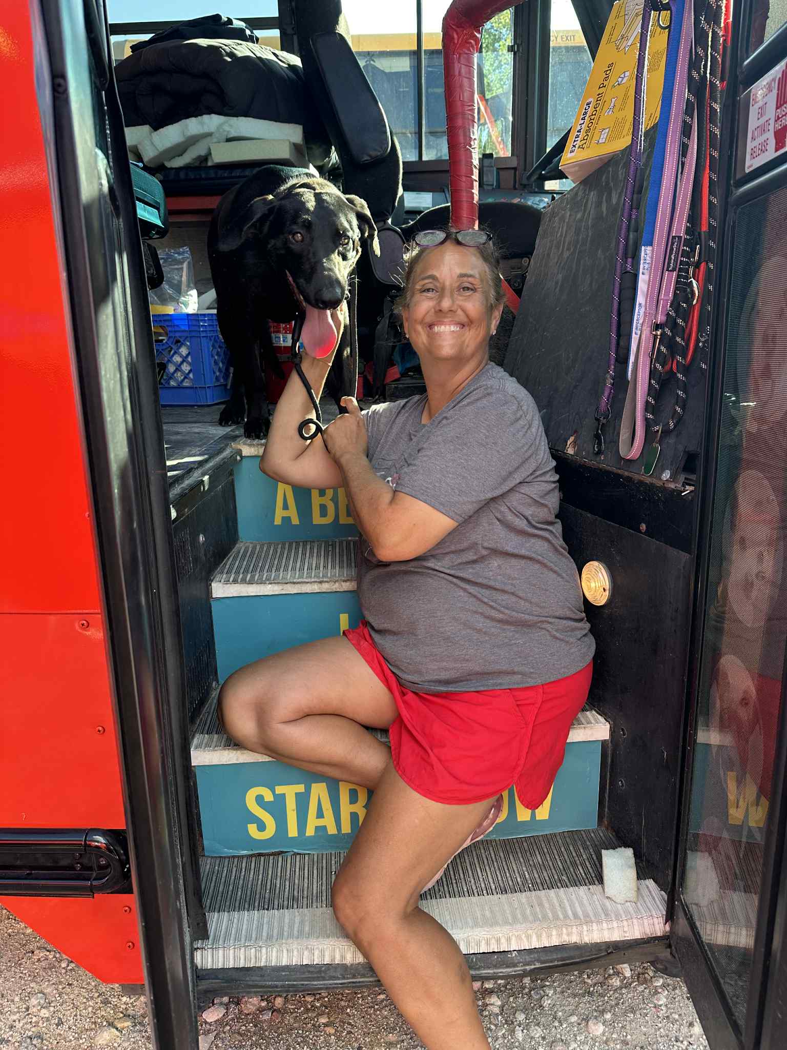 Volunteers preparing rescued pets for transport
