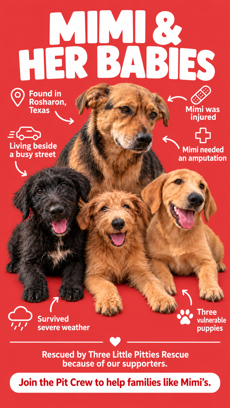 Supplied campaign story artwork of Mimi and her three puppies